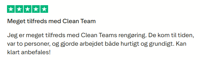 Trustpilot anmeldelse 1